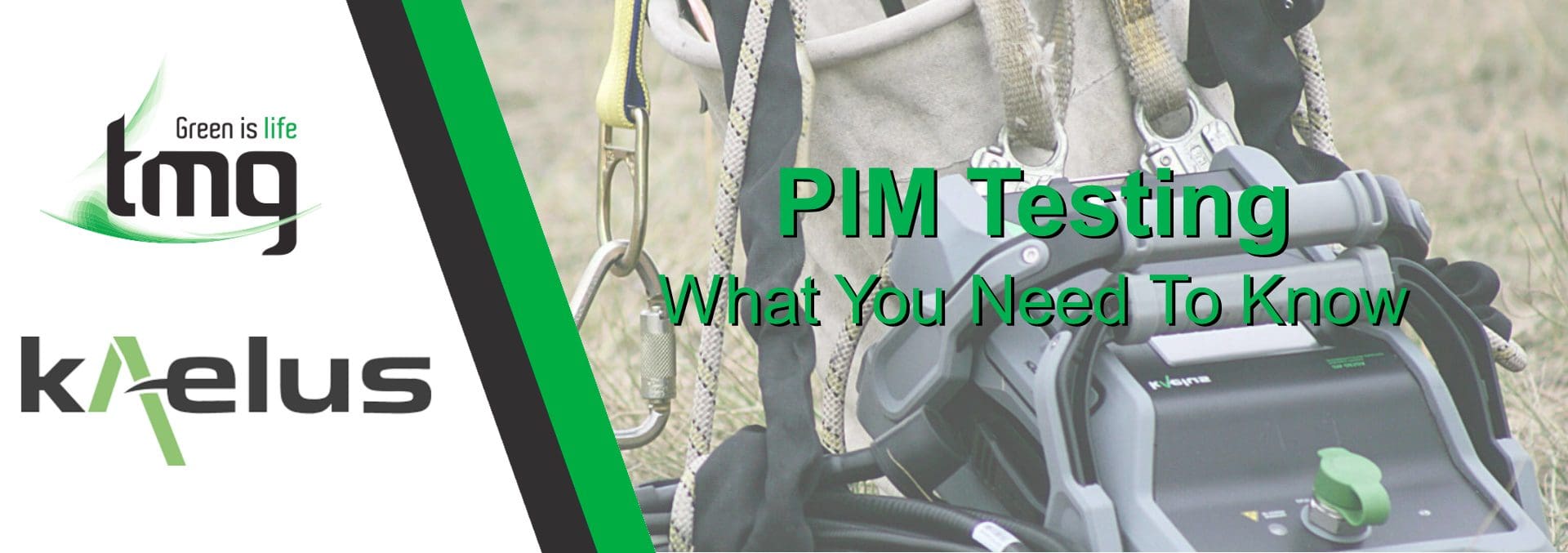 Read more about the article PIM Testing – What You Need To Know